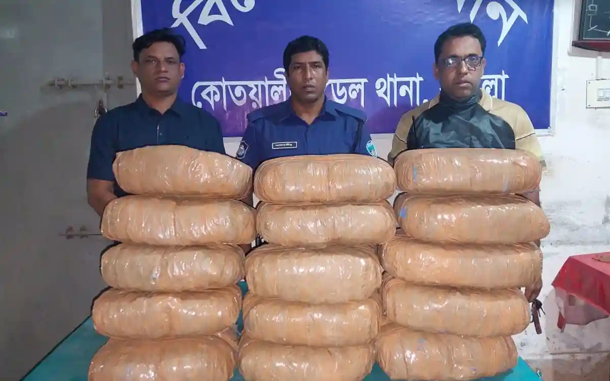 কুমিল্লায় ৩০ কেজি গাঁজাসহ মাদক ব্যবসায়ী গ্রেফতার