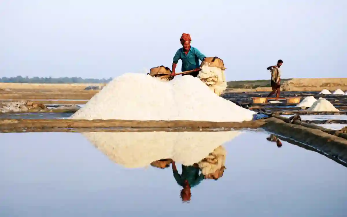 salt production