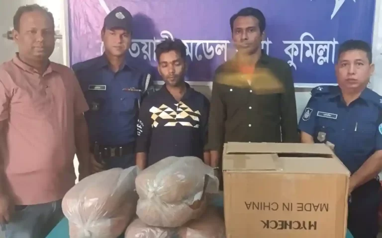 কুমিল্লায় ১২ কেজি গাঁজাসহ দুই মাদক ব্যবসায়ী গ্রেফতার