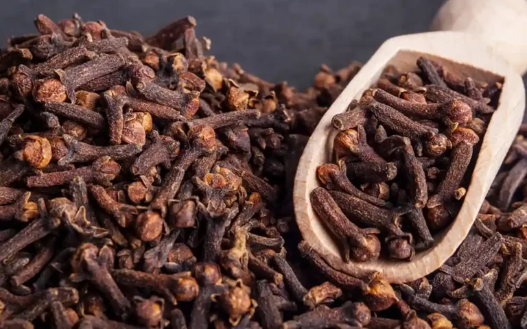 লবঙ্গের স্বাস্থ্য উপকারিতা: নানা রোগের প্রাকৃতিক উপায়