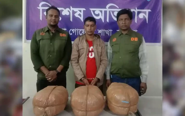 কুমিল্লায় ১২ কেজি গাঁজাসহ মাদক ব্যবসায়ী গ্রেফতার