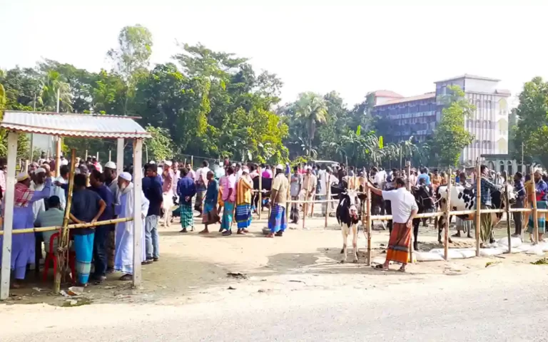 Clash between two upazilas over establishment of cow market in Cumilla