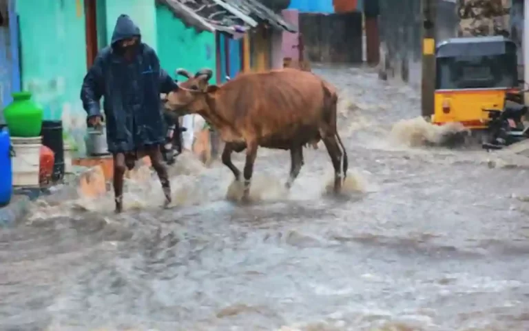 Floods in 4 districts due to heavy rains in Tamil Nadu, holiday announced