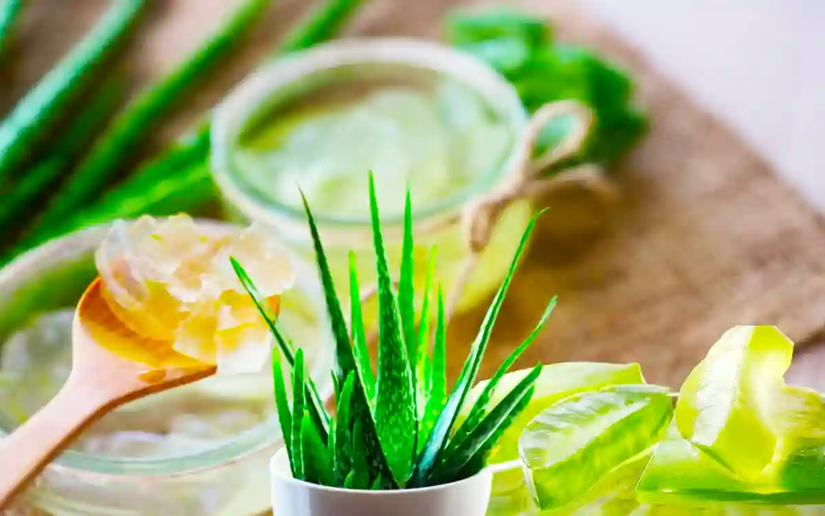 Aloe Vera Gel