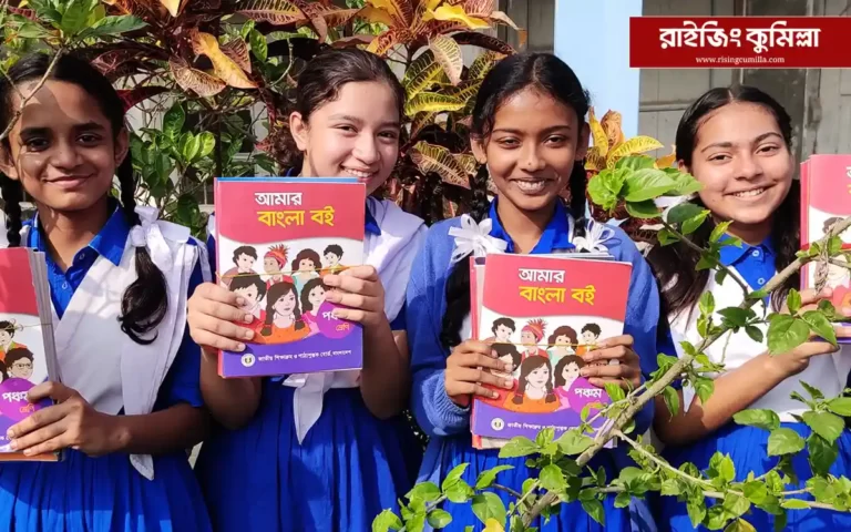 Book Festival in School