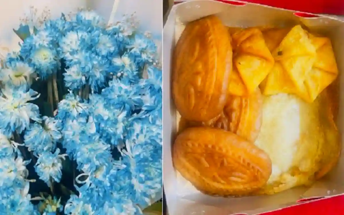 BNP is sending winter cakes to parties boycotting elections