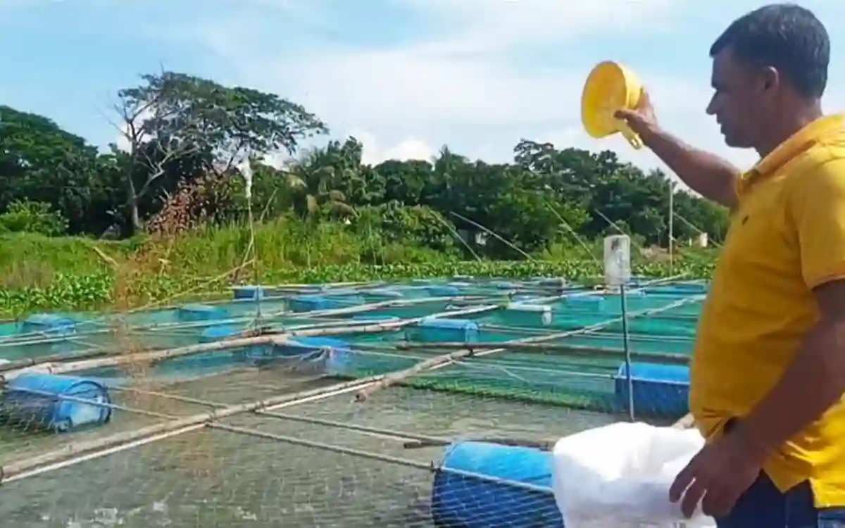 Hanif of Daudkandi, who is self-employed, cultivates fish in cages in the river in Cumilla