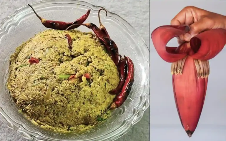 কলার মোচা ভাজি, কলার ফুল ভাজি , Banana Blossom, Banana Flower