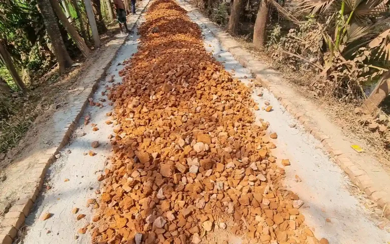 12. Widespread irregularities in road construction in Noakhali
