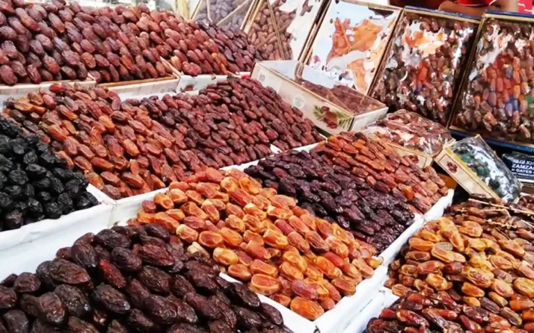 RisingCumilla.Com - Date palm