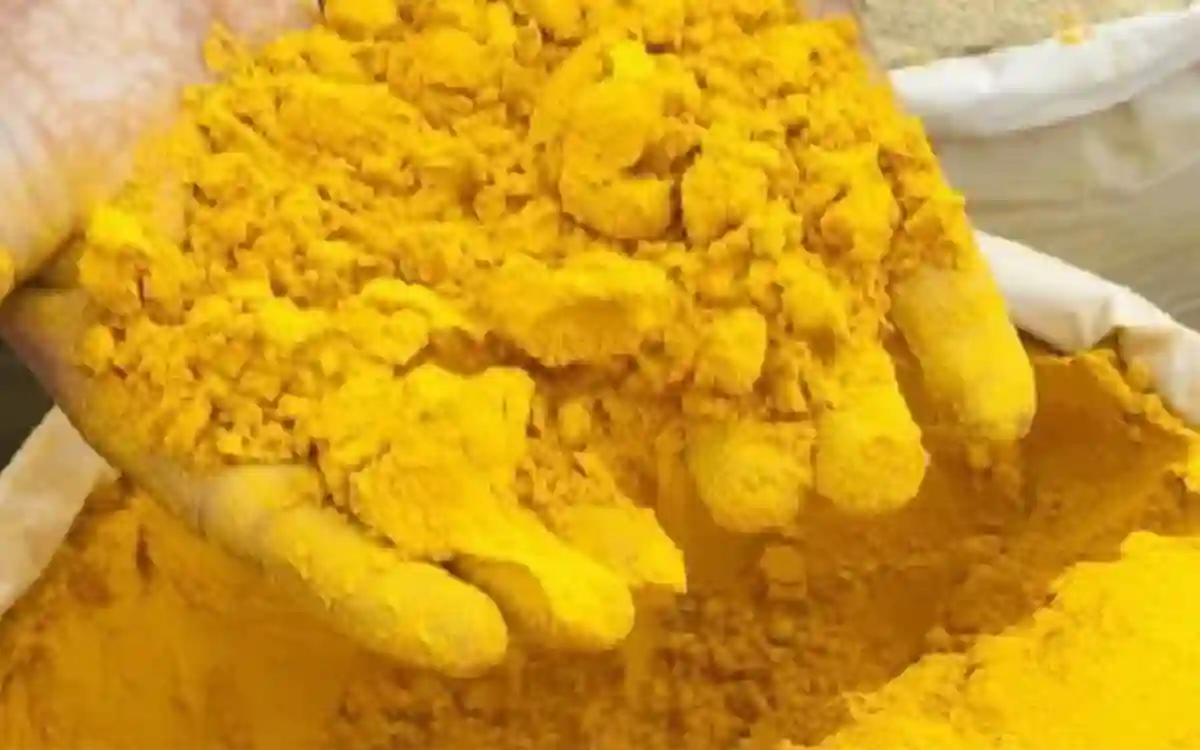 The color made from cow urine spread from India to the world