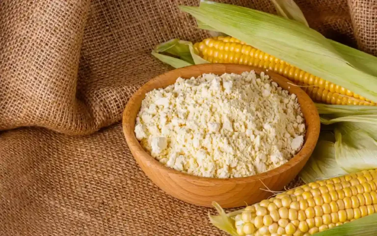 ঘরে বসেই সহজে তৈরি করুন কর্নফ্লাওয়ার, জেনে নিন পদ্ধতি