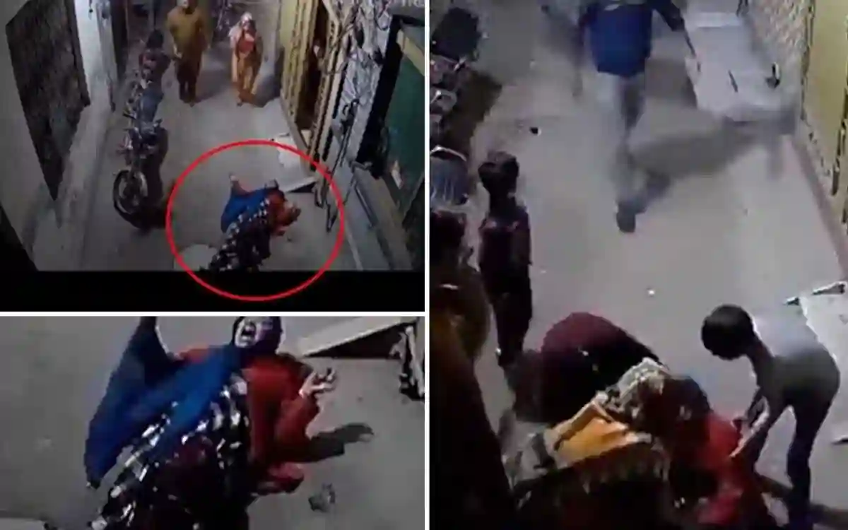 Cooking chicken meat was not fun, the husband threw his wife out of the window