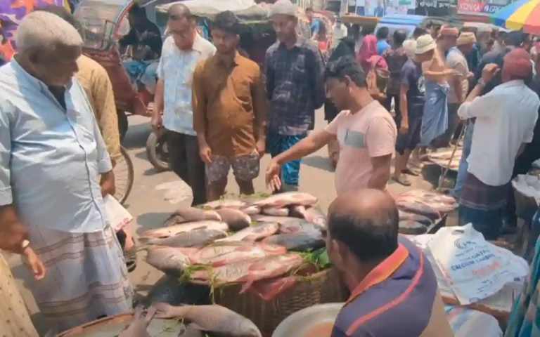 fish fair
