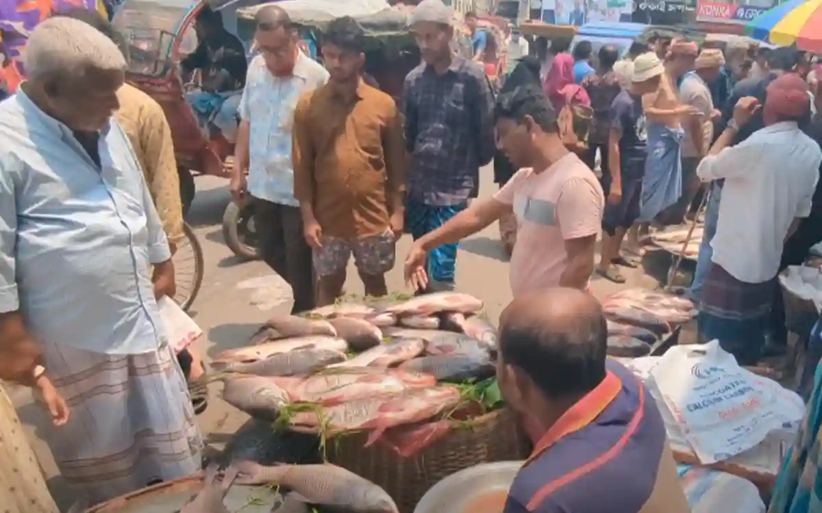 fish fair