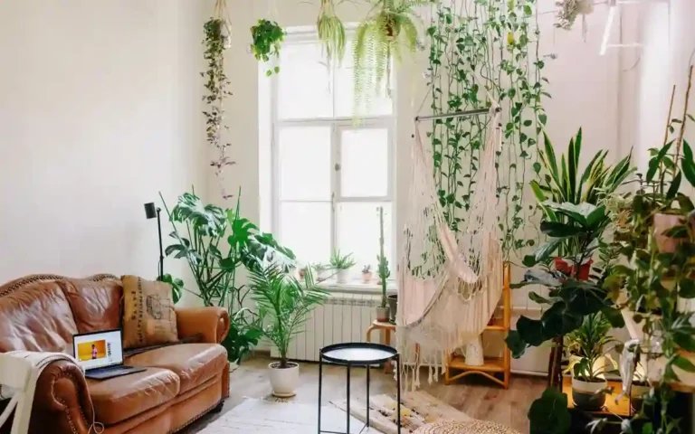 Plants in house