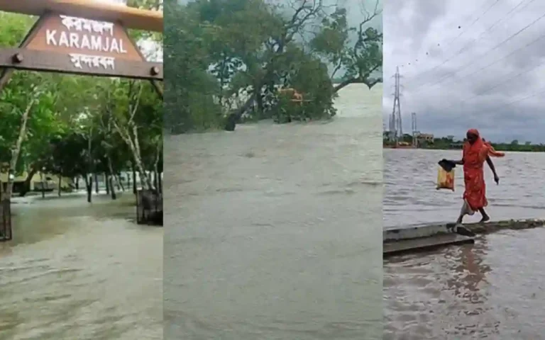 Remal is raging on the coast, the Sundarbans are drowned by the tide