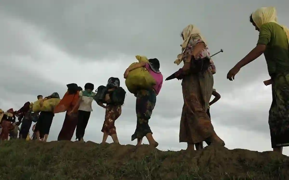 Rohingya