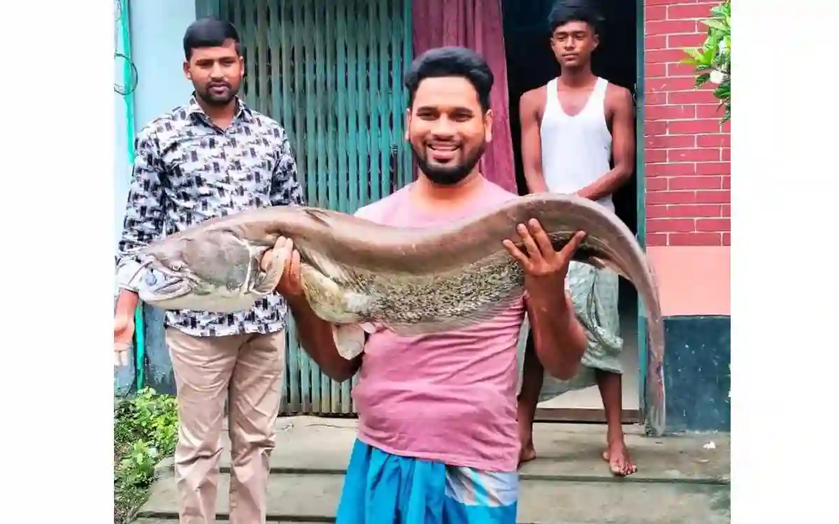 fish weighing 18 kg was caught in the trap net in Yamuna river