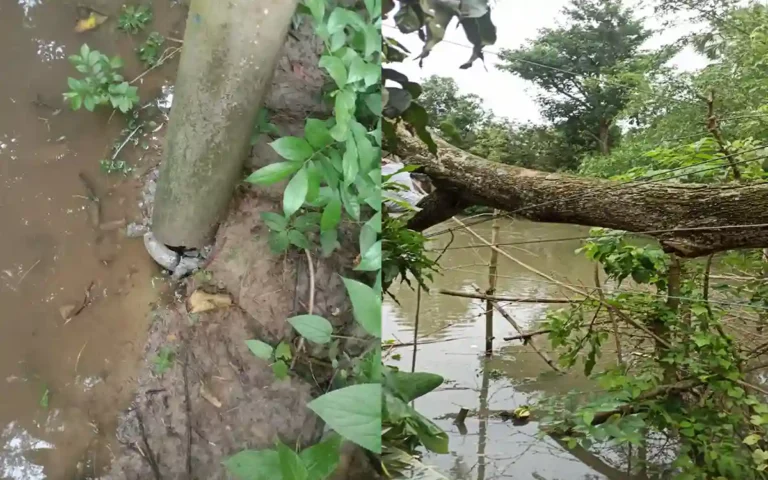 In Cumilla's Brahmanpara, there was a massive loss of rural electricity due to the storm