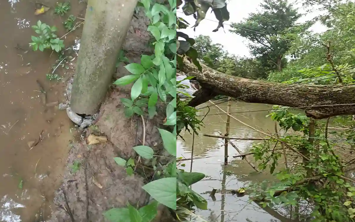 In Cumilla's Brahmanpara, there was a massive loss of rural electricity due to the storm
