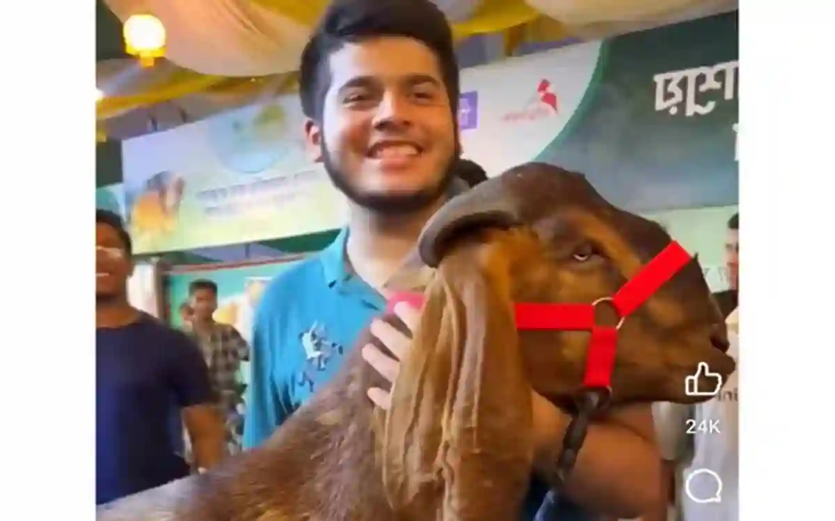 Sadiq Agro is waiting with that viral goat, the buyer is not picking up the phone