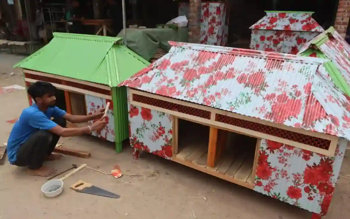 This entrepreneur from Cumilla is self-sufficient by making a beautiful poultry house