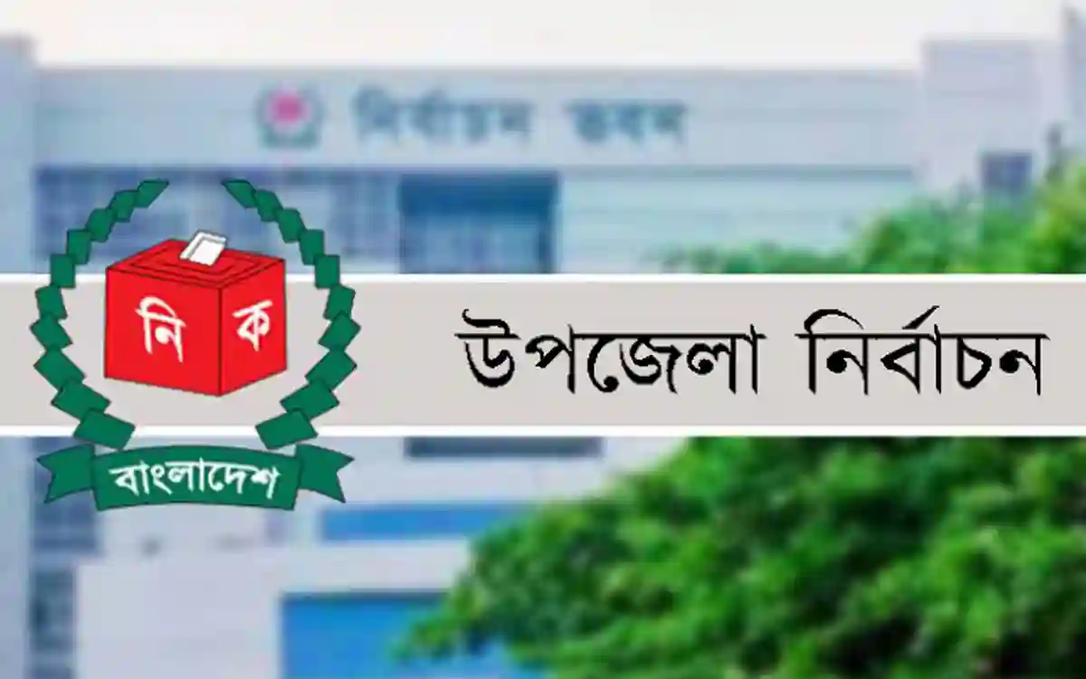 Upazila elections