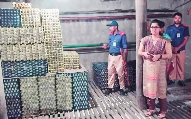 4 lakh eggs stored in Cumilla seized, sold at auction for 6 taka