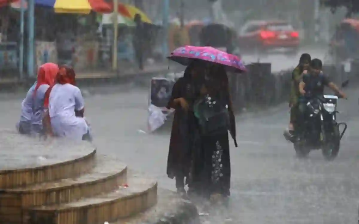 Rain