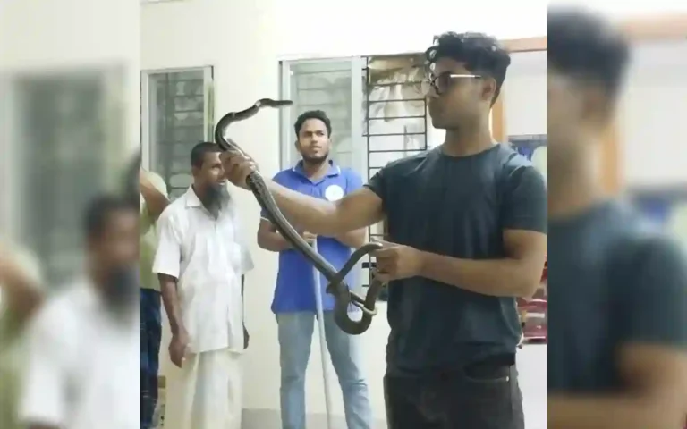 Rising Cumilla - Snake recovered from Sheikh Hasina Hall of Cumilla University