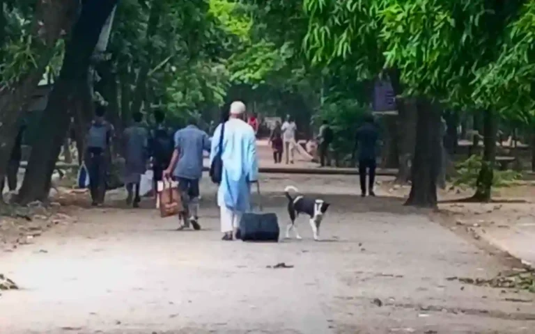 Students are leaving the hall