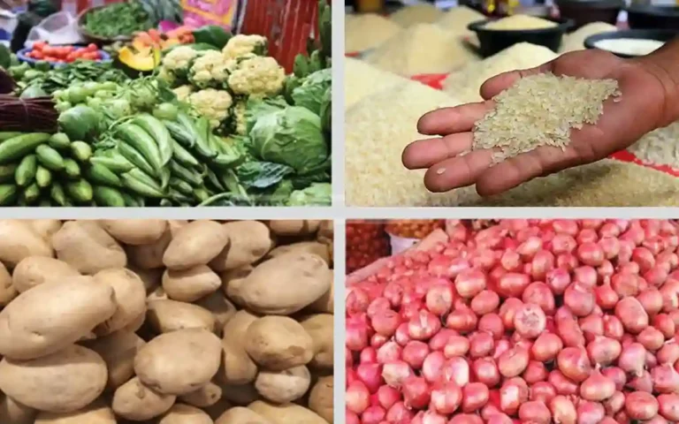 Vegetables-Rice-Onion-Potato