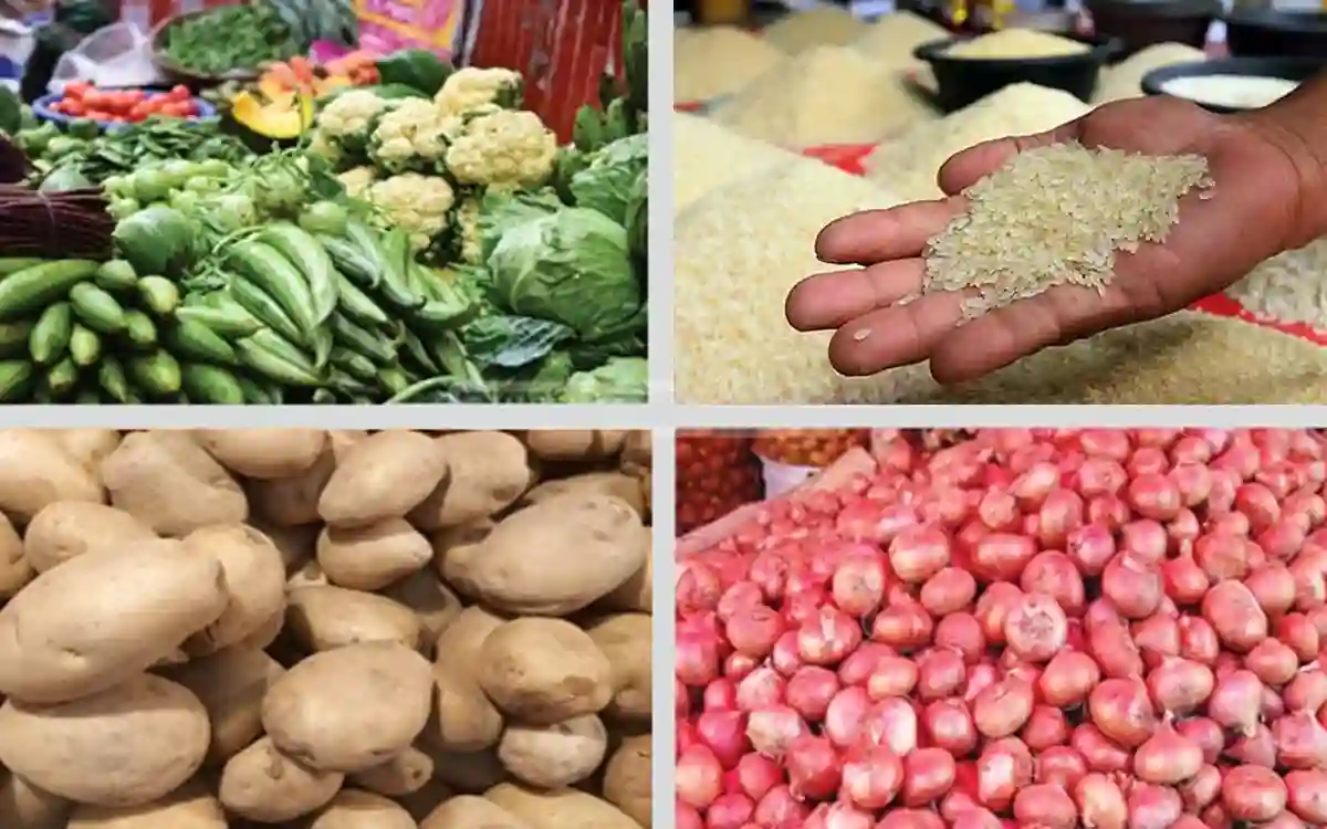 Vegetables-Rice-Onion-Potato