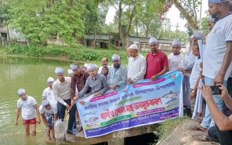 ব্রাহ্মণপাড়ায় জাতীয় মৎস্য সপ্তাহের শুভ উদ্বোধন ও আলোচনা সভা অনুষ্ঠিত