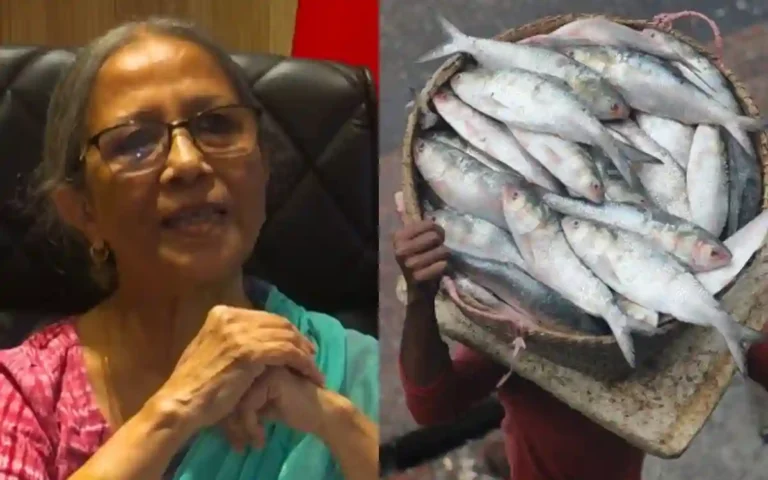 Rising Cumilla - The people of the country will get the hilsa first, then the export said Adviser Farida Akhtar