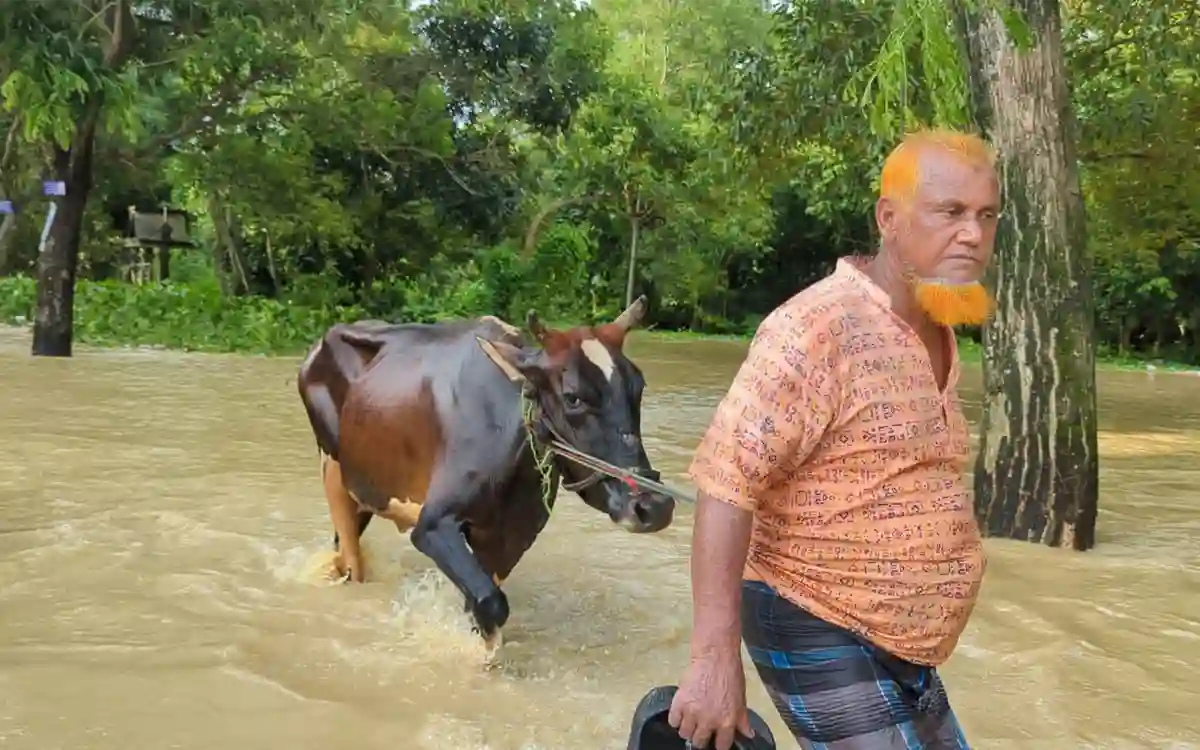RisingCumilla.Com - floods in Burichang, Cumilla