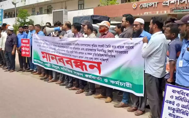 Rising Cumilla.Com - Standard-meeting to demand merger of REB and Pallividyut Samiti in Noakhali