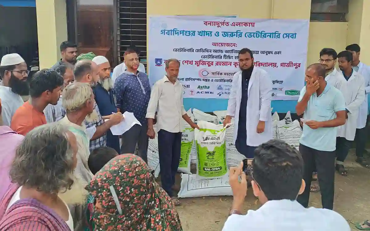 RisingCumilla.Com - Distribution of fodder among flood-affected farmers and households in Brahmanpara, Cumilla