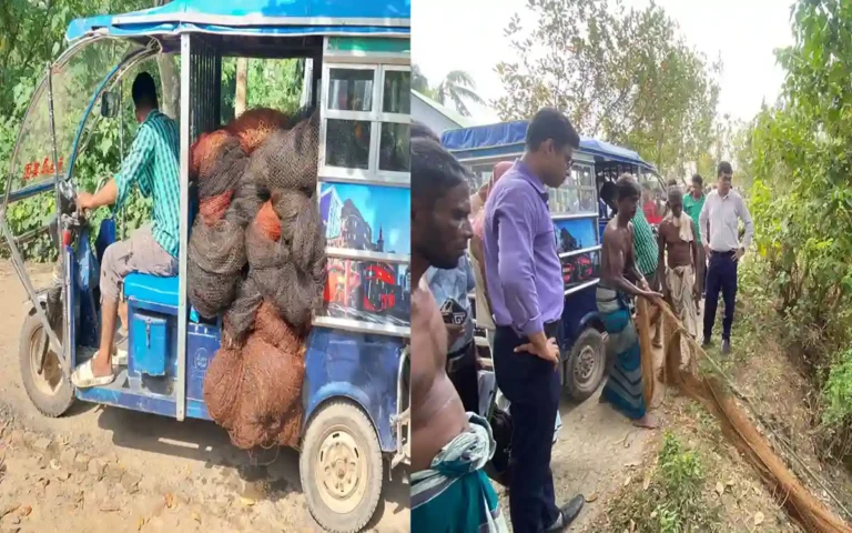 RisingCumilla.Com - Operation against illegal Bhairav ​​nets in Cumilla, 5 thousand feet of nets seized and destroyed