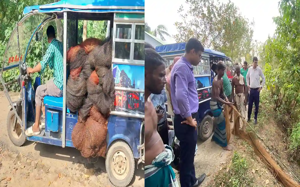 RisingCumilla.Com - Operation against illegal Bhairav ​​nets in Cumilla, 5 thousand feet of nets seized and destroyed