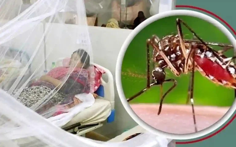 RisingCumilla.Com - dengue