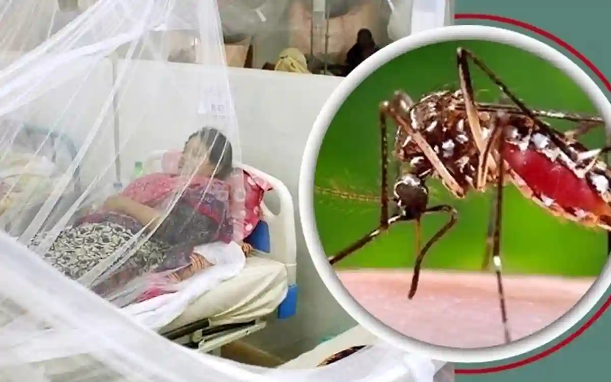 RisingCumilla.Com - dengue