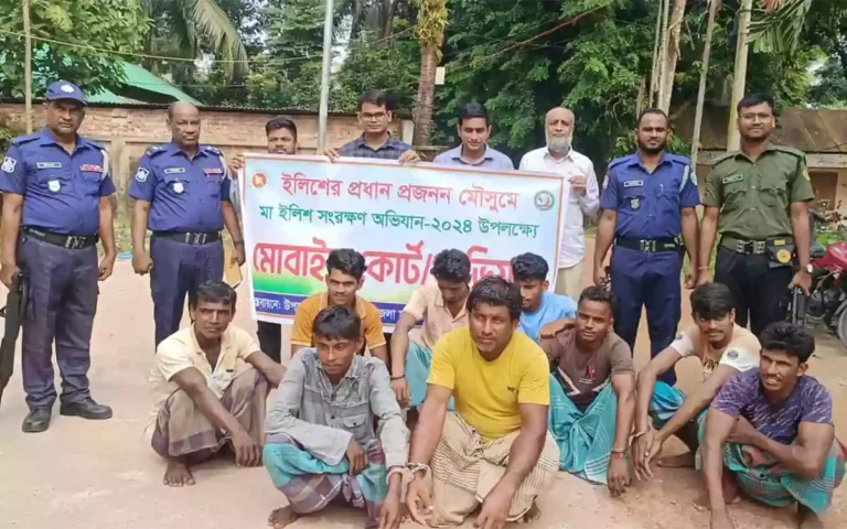 Rising Cumilla - 9 fishermen in Noakhali were fined for catching hilsa in violation of the ban