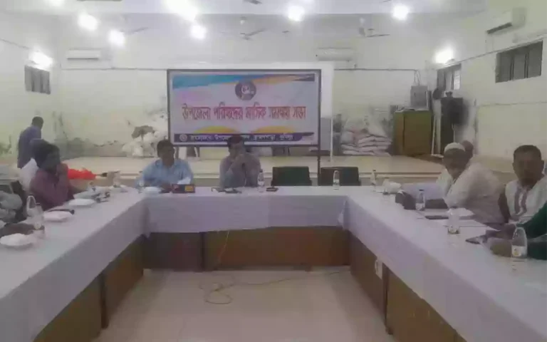Rising Cumilla - Brahmanpara Upazila Parishad monthly coordination meeting of Cumilla