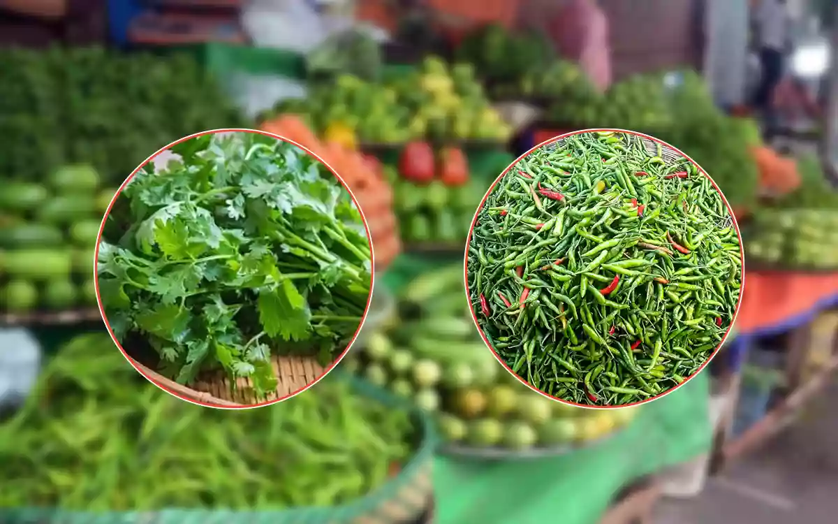 Rising Cumilla - Coriander-Chilli