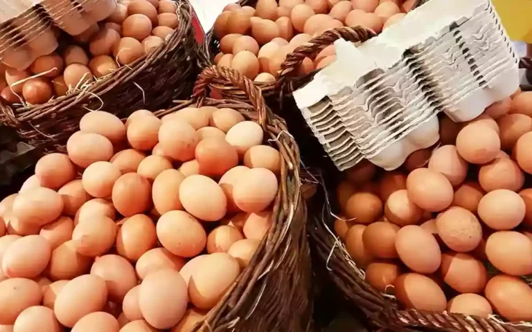 Rising Cumilla - EGG