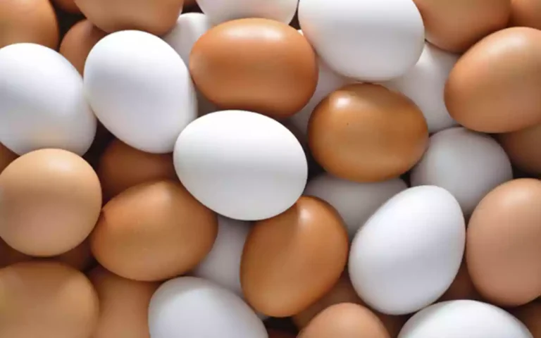 Rising Cumilla - Egg