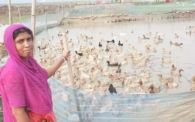 Rising Cumilla - Ishita Rani