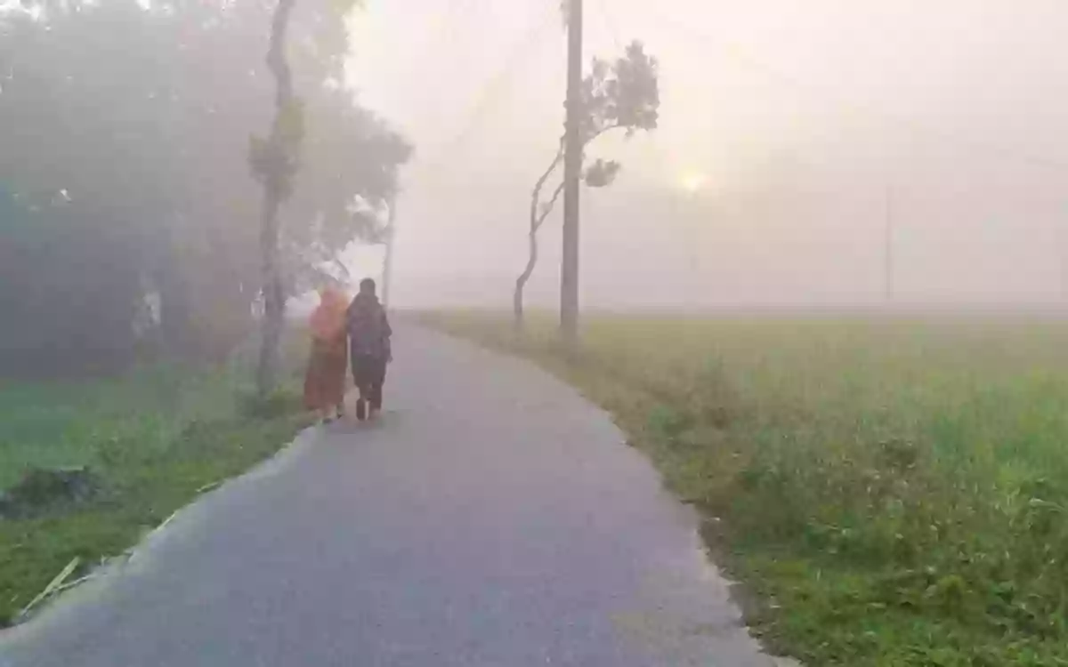 Rising Cumilla - Winter